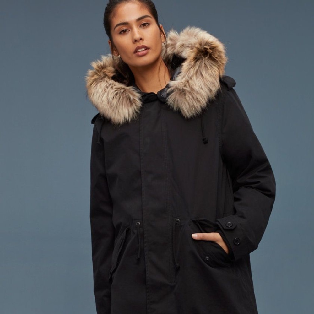 Aritzia Community Autonomy Premium Parka